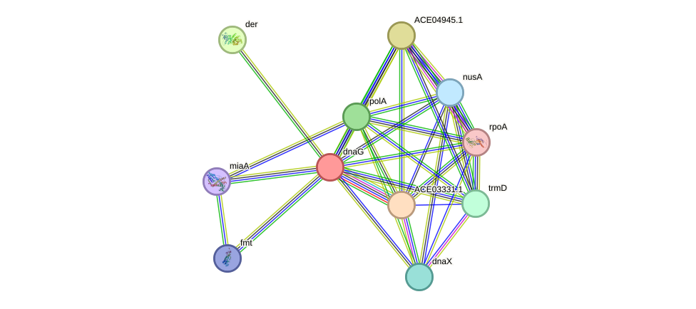 STRING protein interaction network
