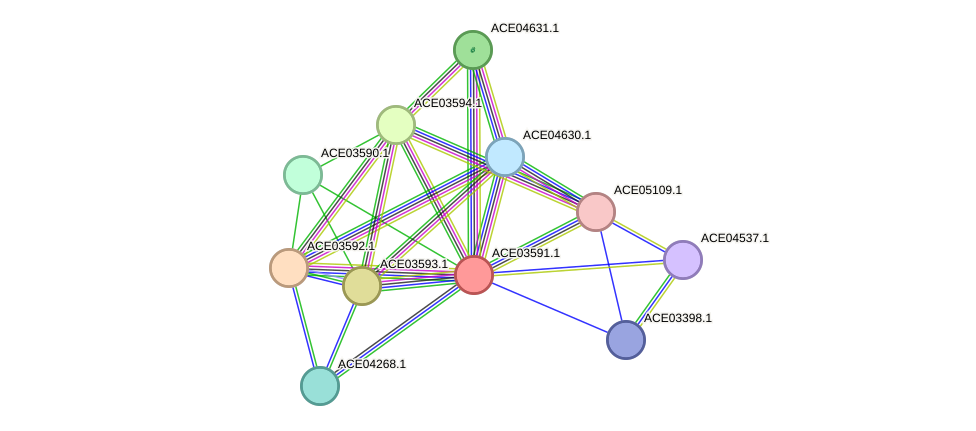 STRING protein interaction network