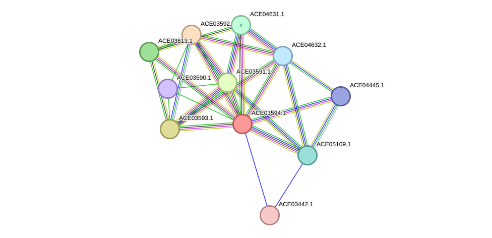 STRING protein interaction network
