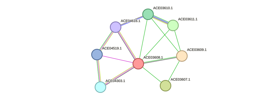 STRING protein interaction network
