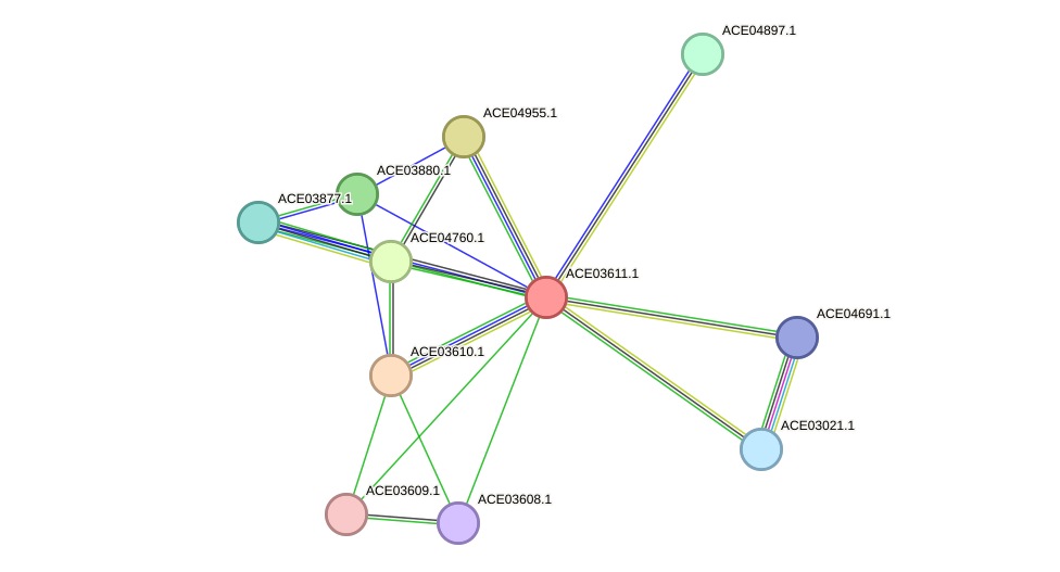 STRING protein interaction network