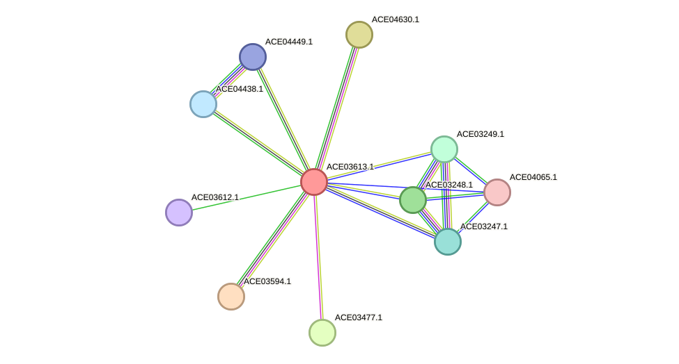 STRING protein interaction network