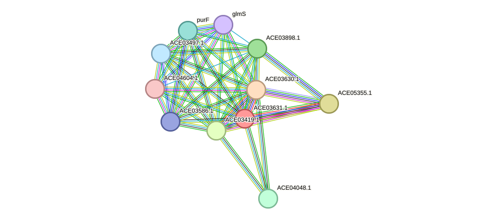 STRING protein interaction network