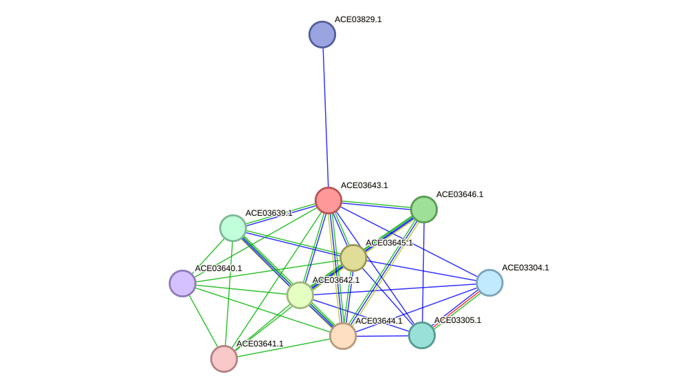 STRING protein interaction network