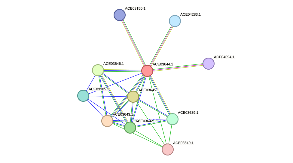STRING protein interaction network