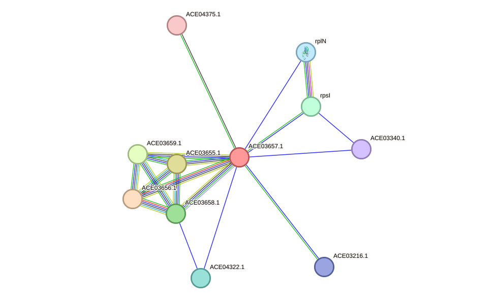 STRING protein interaction network