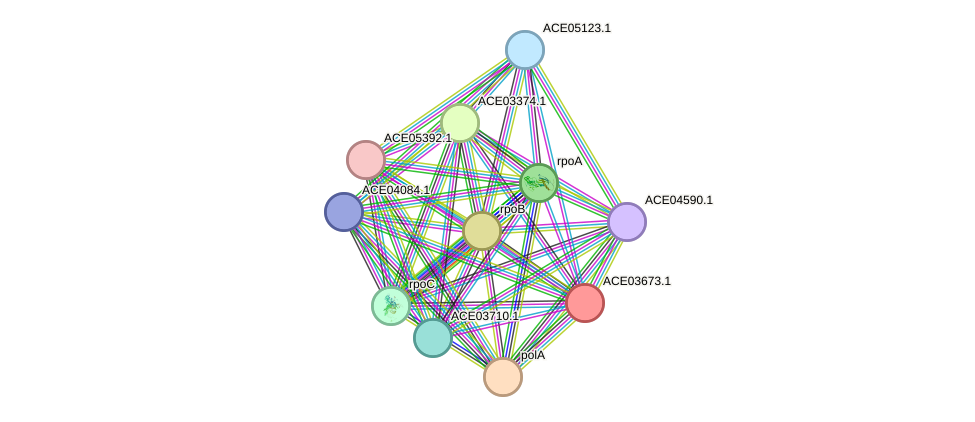 STRING protein interaction network