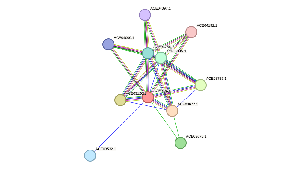 STRING protein interaction network