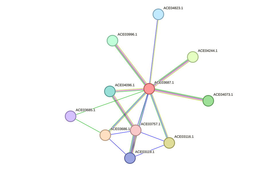 STRING protein interaction network
