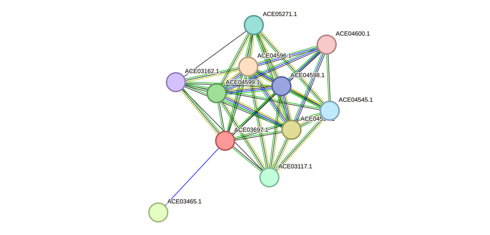 STRING protein interaction network