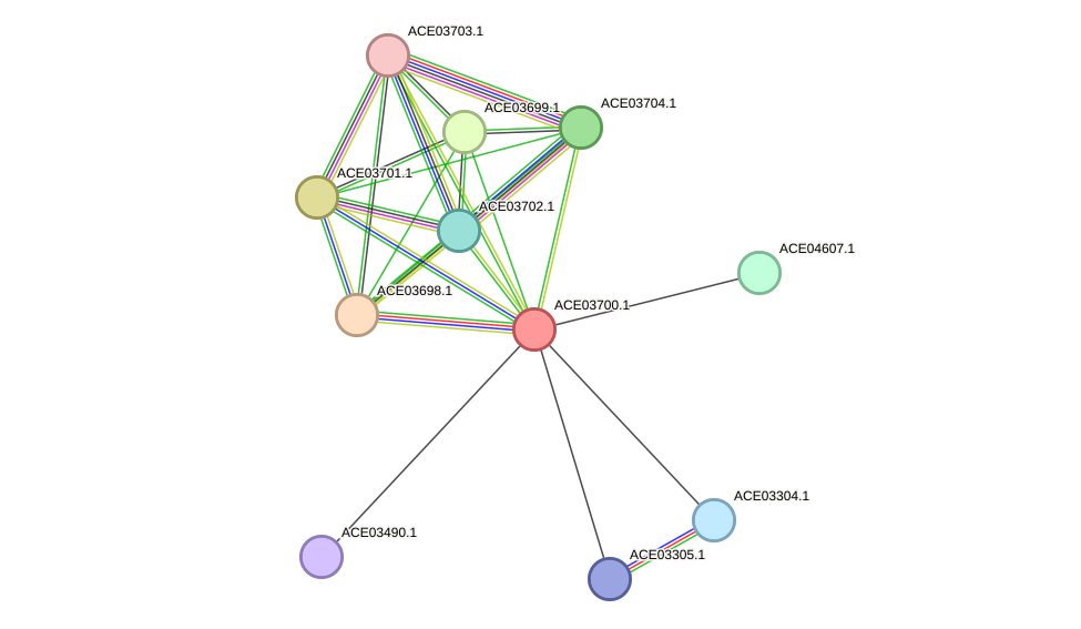 STRING protein interaction network
