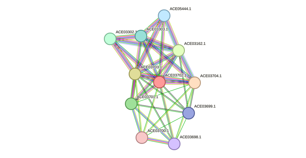 STRING protein interaction network