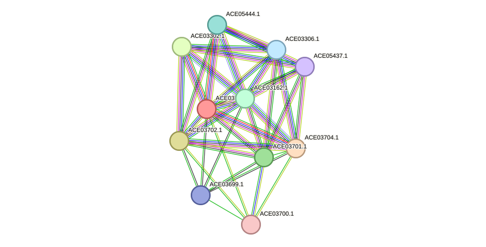 STRING protein interaction network