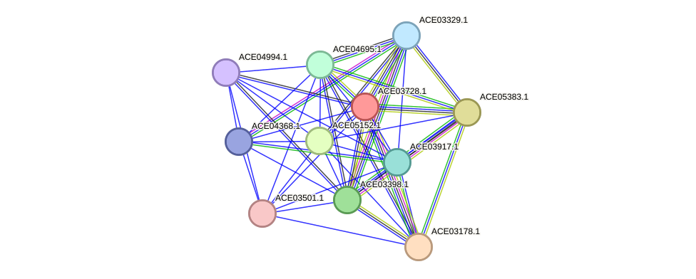 STRING protein interaction network