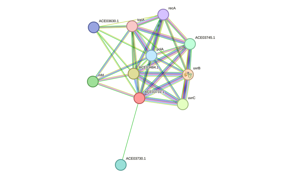 STRING protein interaction network