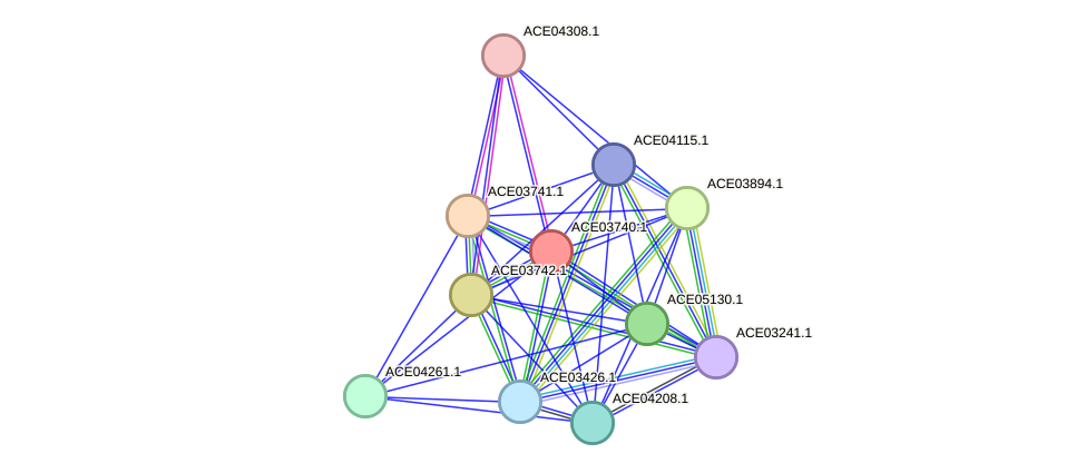 STRING protein interaction network