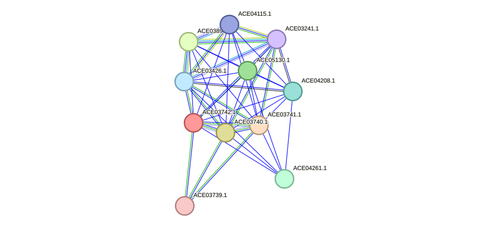 STRING protein interaction network
