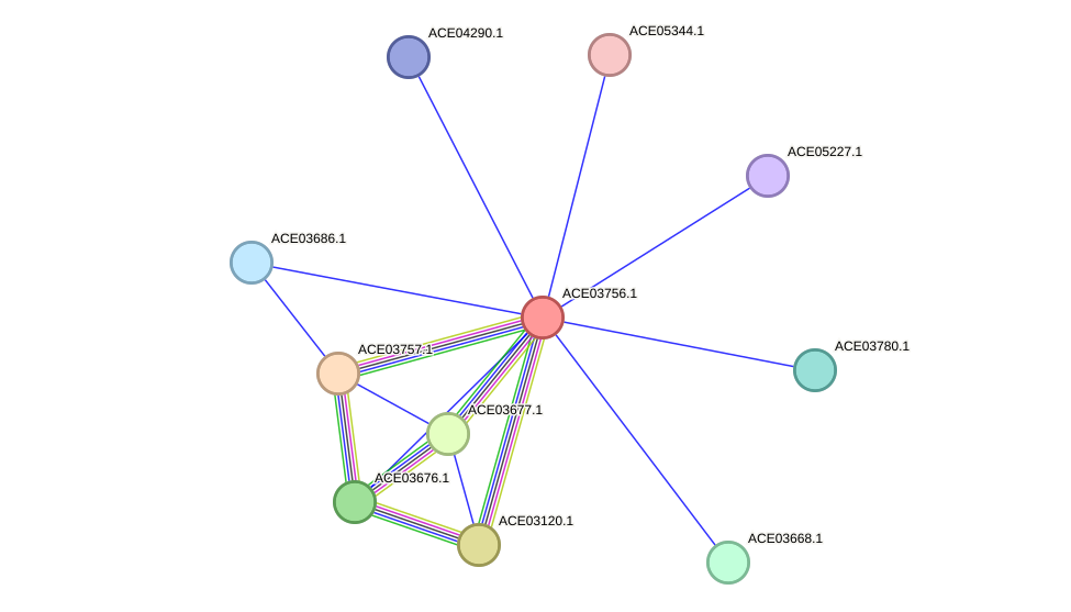 STRING protein interaction network