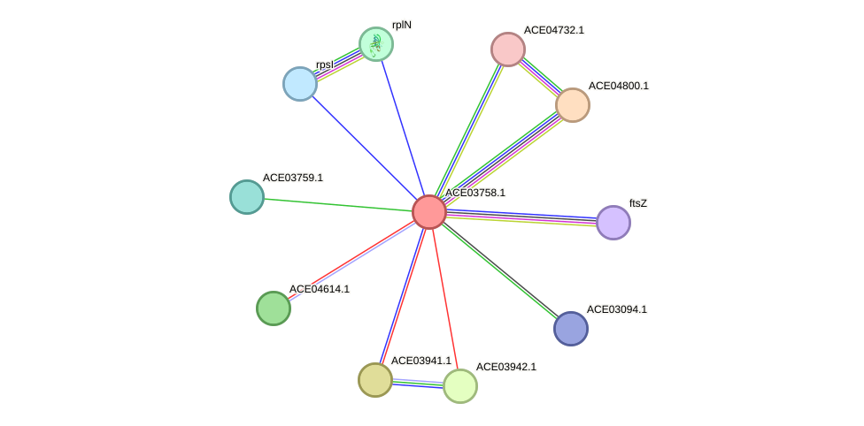 STRING protein interaction network