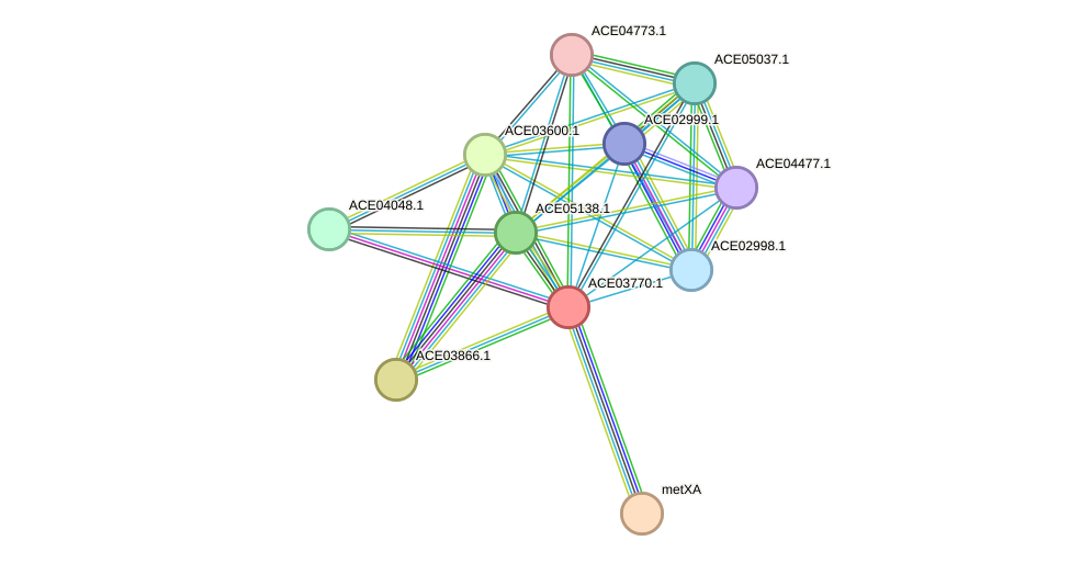 STRING protein interaction network