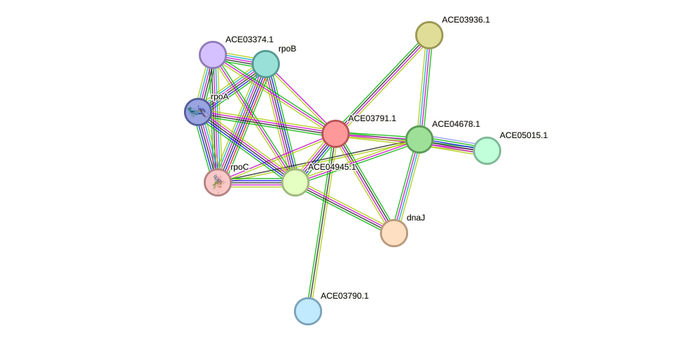 STRING protein interaction network