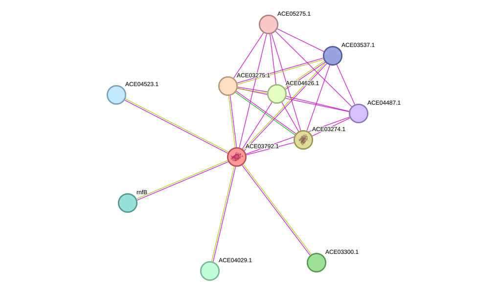 STRING protein interaction network