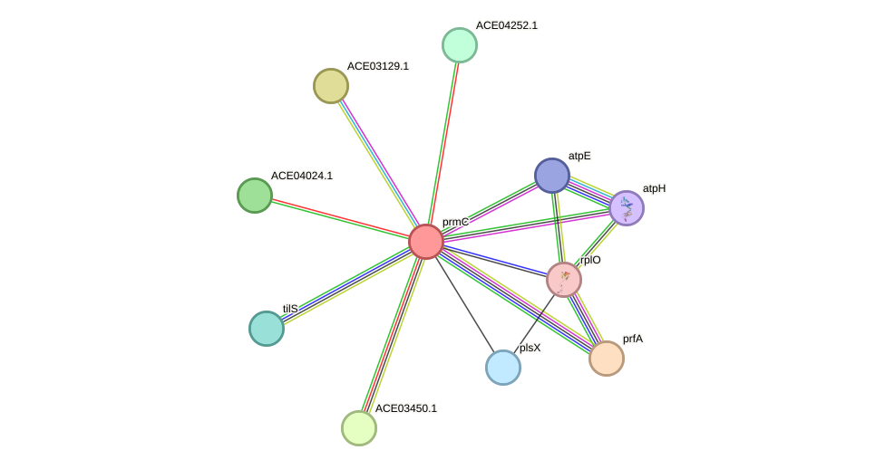 STRING protein interaction network