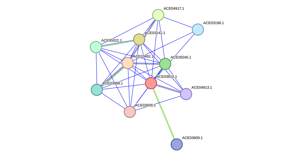 STRING protein interaction network