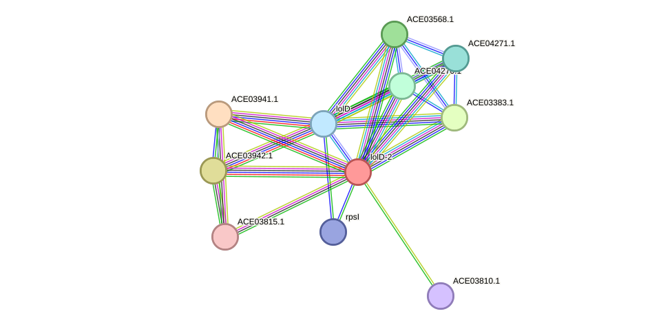 STRING protein interaction network
