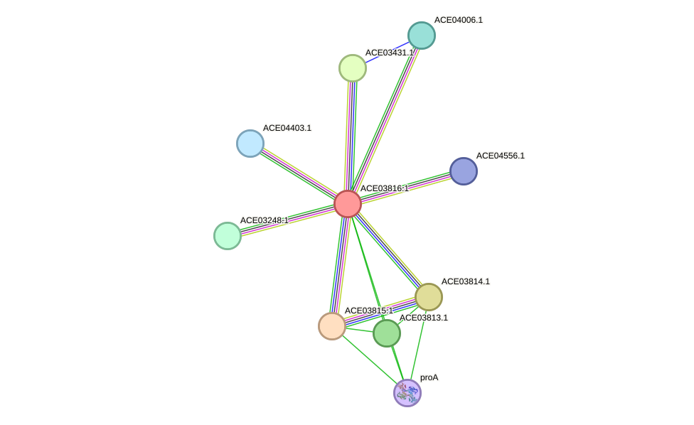 STRING protein interaction network