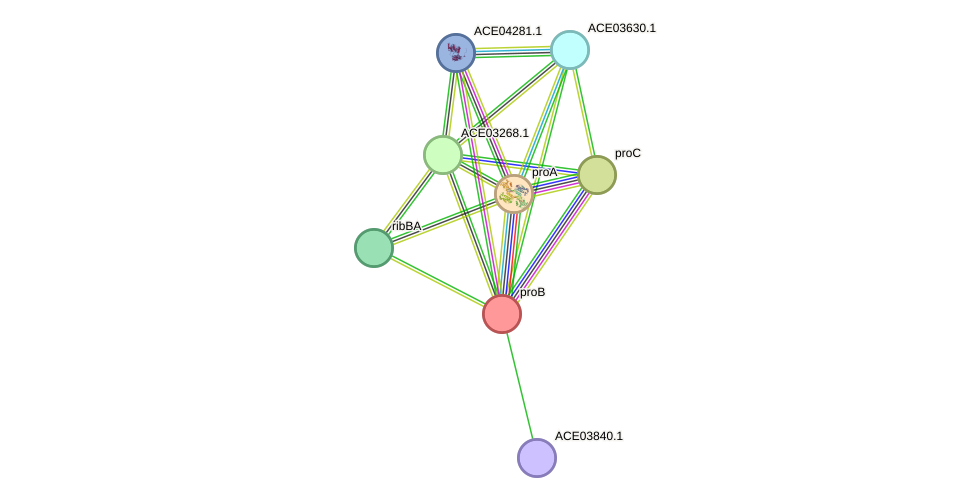 STRING protein interaction network