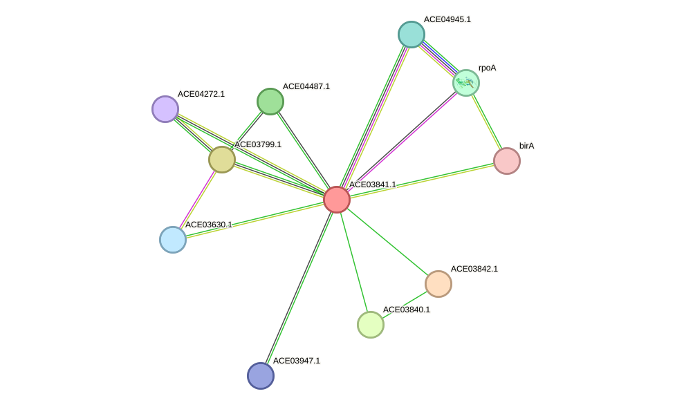 STRING protein interaction network
