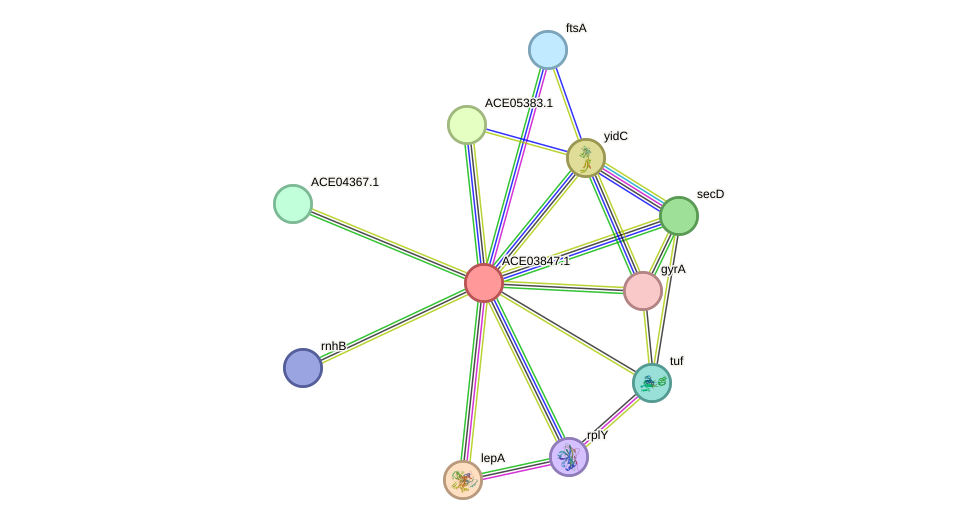 STRING protein interaction network