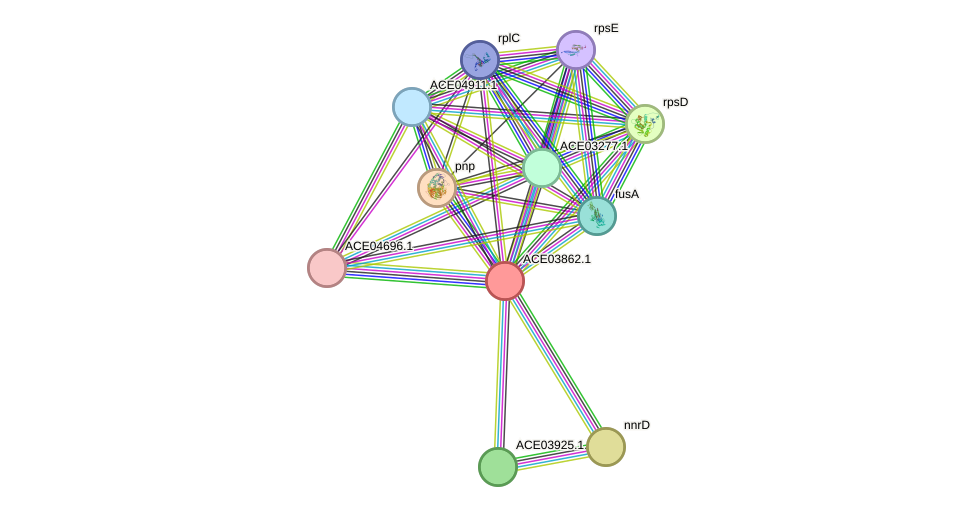 STRING protein interaction network