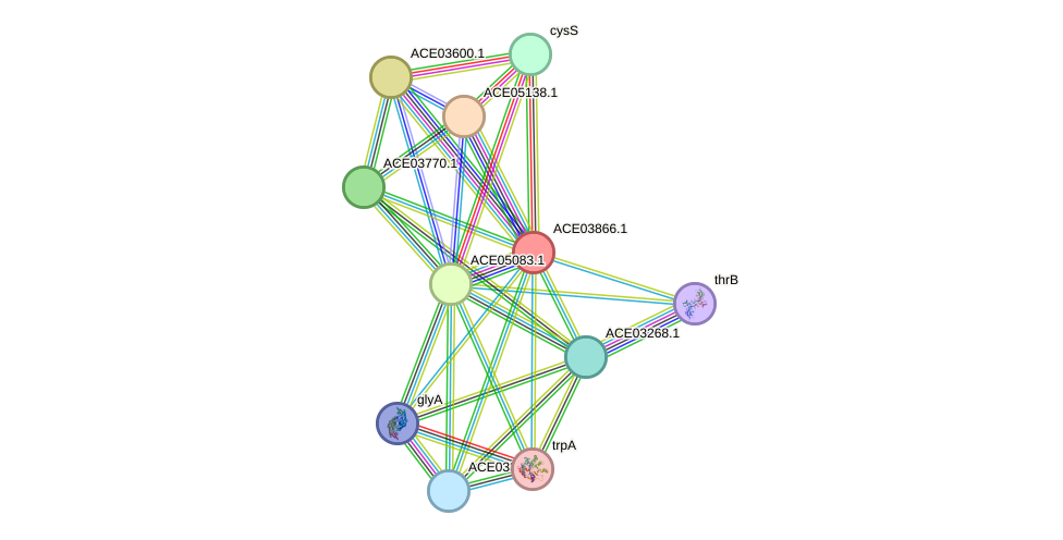 STRING protein interaction network