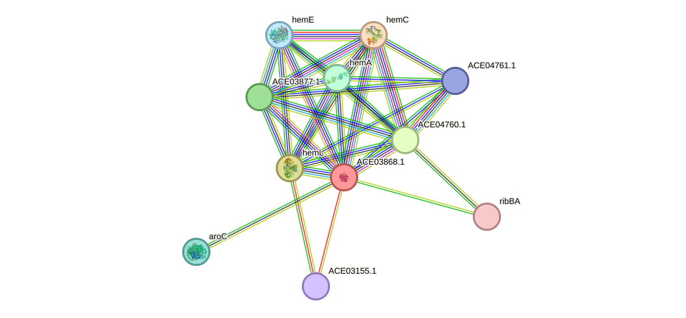 STRING protein interaction network