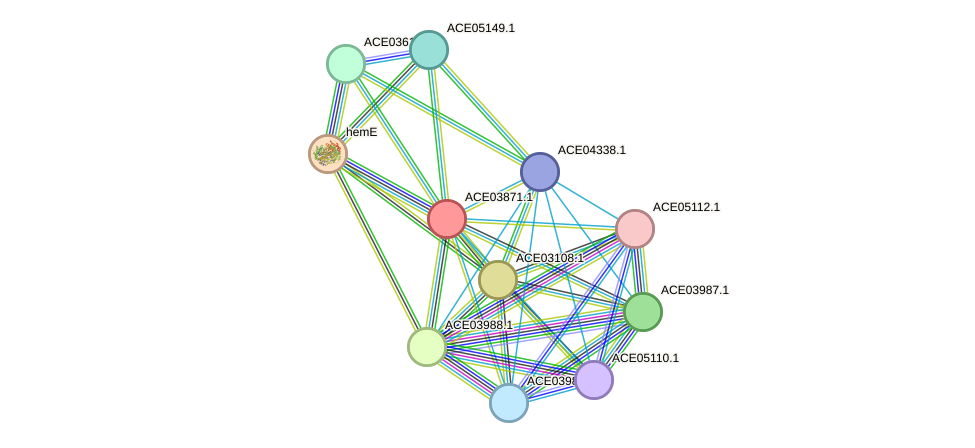 STRING protein interaction network