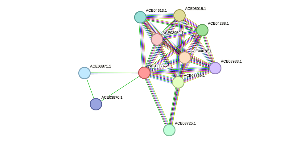 STRING protein interaction network