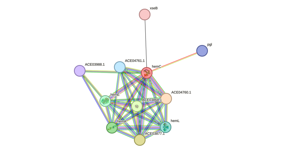 STRING protein interaction network