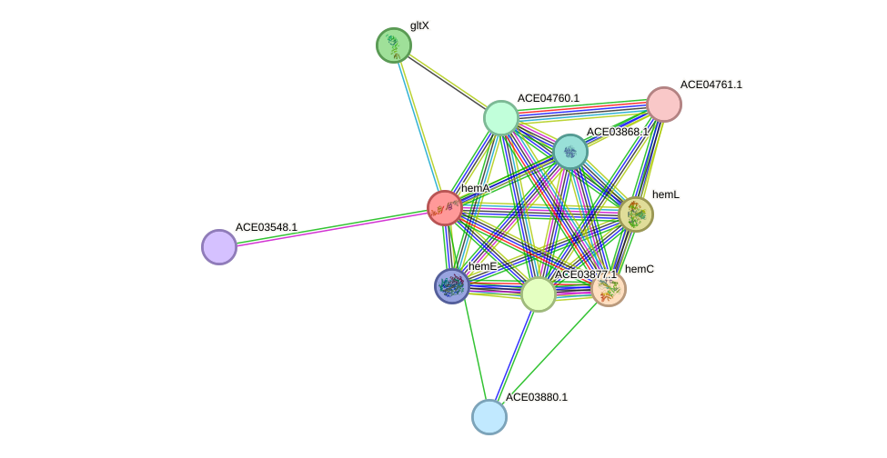 STRING protein interaction network