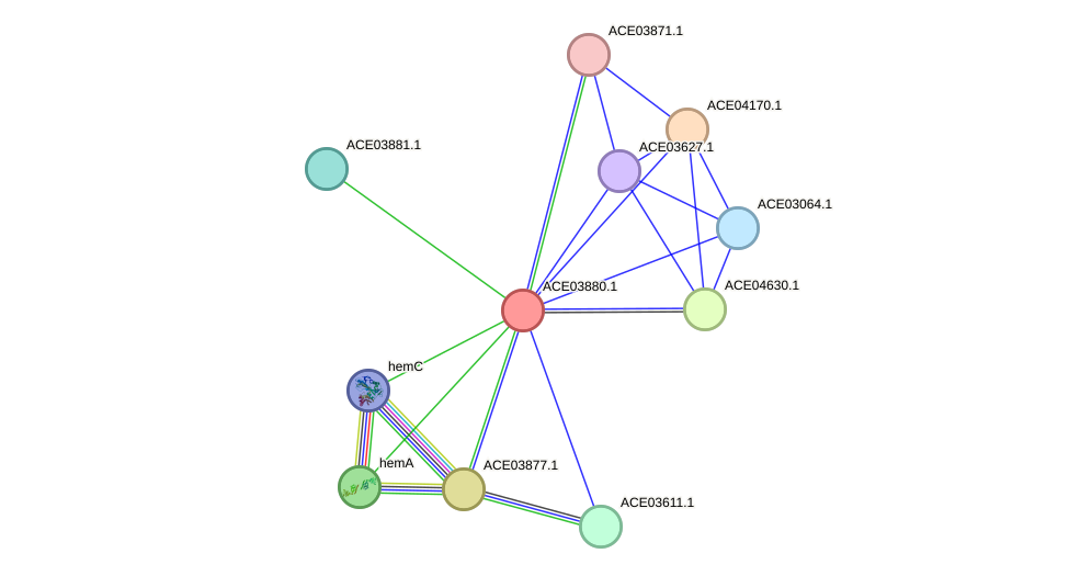 STRING protein interaction network