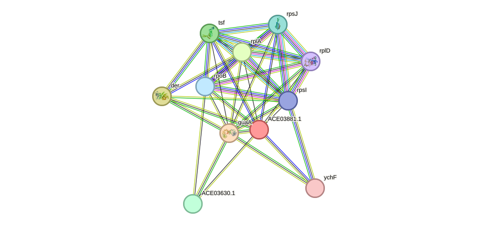 STRING protein interaction network