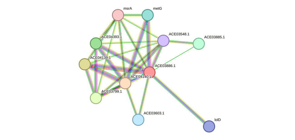 STRING protein interaction network
