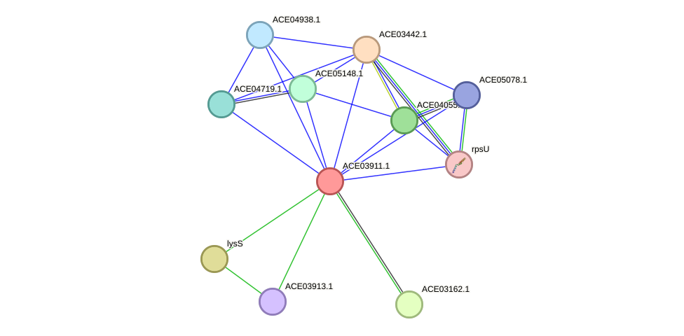 STRING protein interaction network