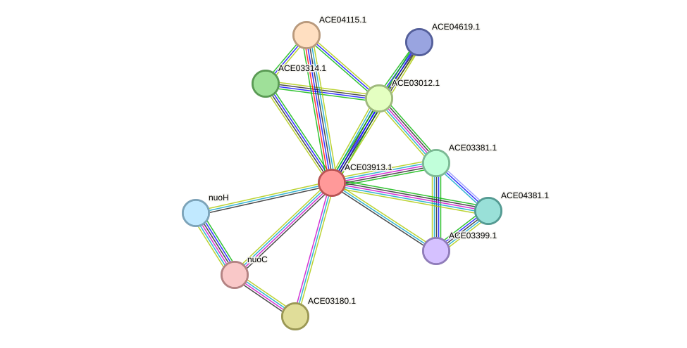 STRING protein interaction network