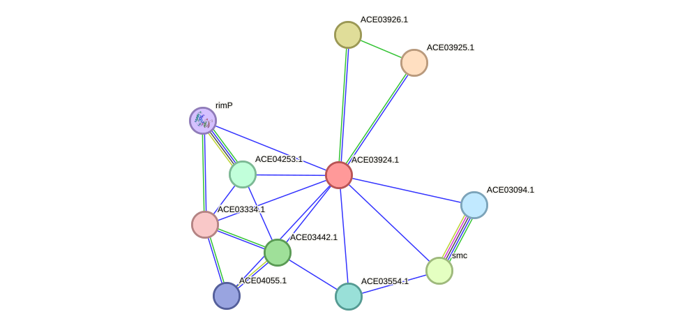 STRING protein interaction network