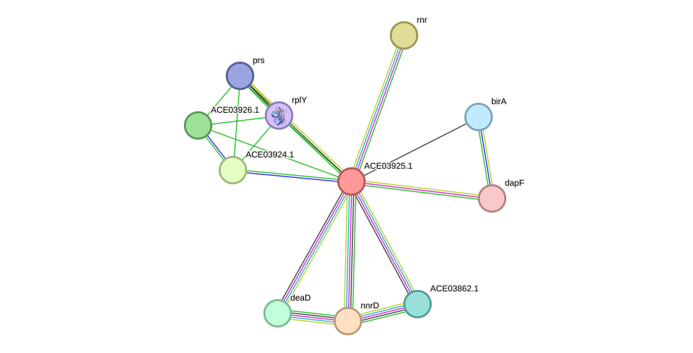 STRING protein interaction network