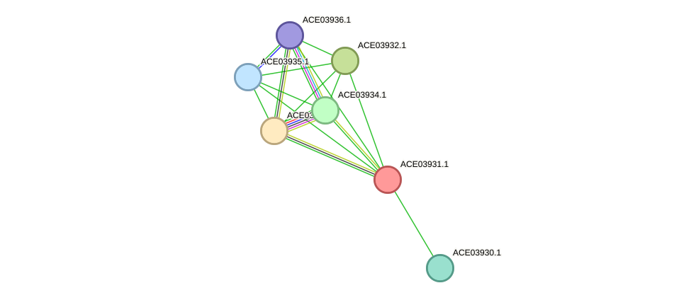 STRING protein interaction network