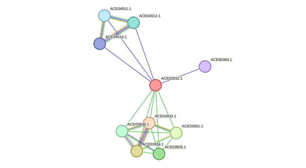 STRING protein interaction network