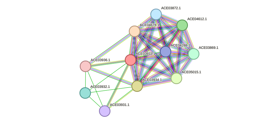 STRING protein interaction network